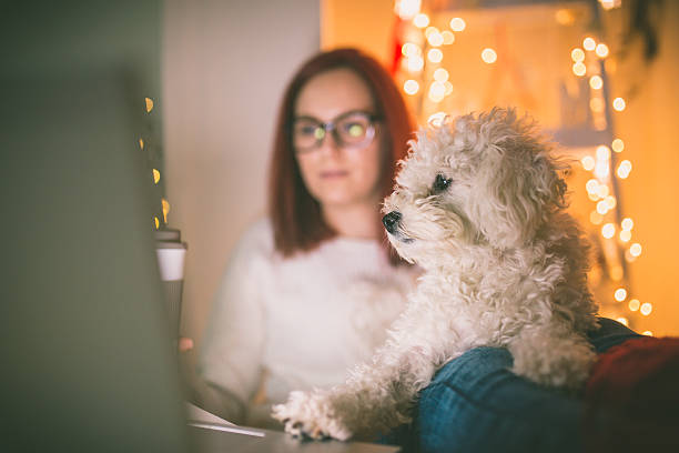 istock People, pets and love for animals. 628119948