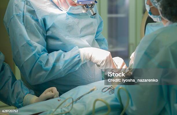 Cirujano En El Trabajo Cirugía En Quirófano Hospitalario Foto de stock y más banco de imágenes de Cirugía
