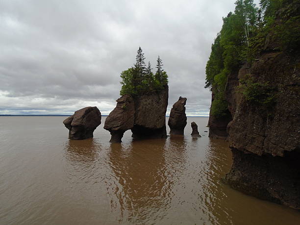 istock High Tide Bay of Fundy 628130104