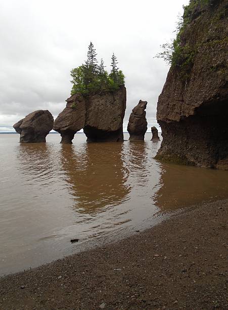istock High Tide Hopewell Rocks 628131100