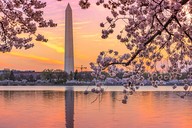 Spring Time Dc Background 720+ Washington Dc Skyline Spring Stock Photos, Pictures & Royalty-Free ...