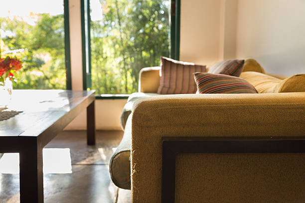 istock brown sofa couch in living room near window 628139748