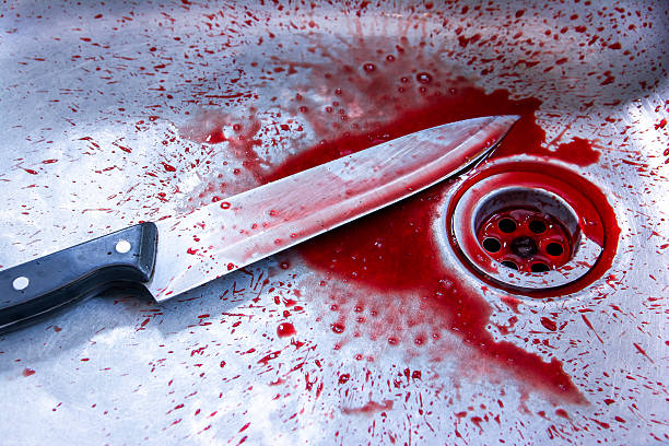 concept image of a sharp knife with blood in sink - knife table knife kitchen knife penknife imagens e fotografias de stock