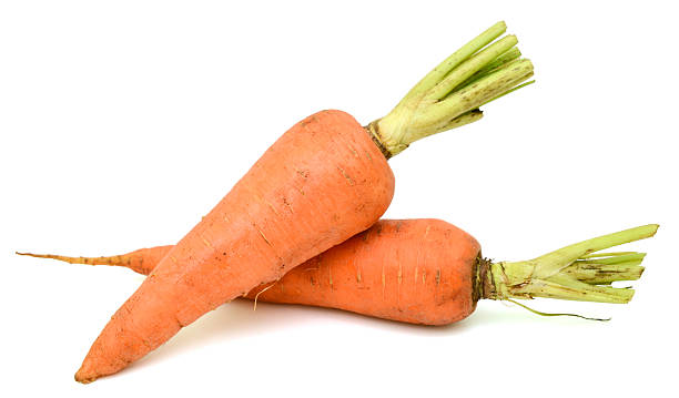 istock Isolated two fresh whole raw carrots on the white background 628159320