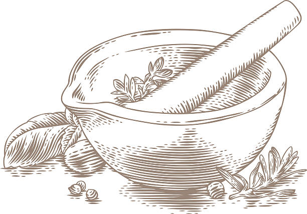 керамический раствор с травами и специями - engraved image engraving basil herb stock illustrations