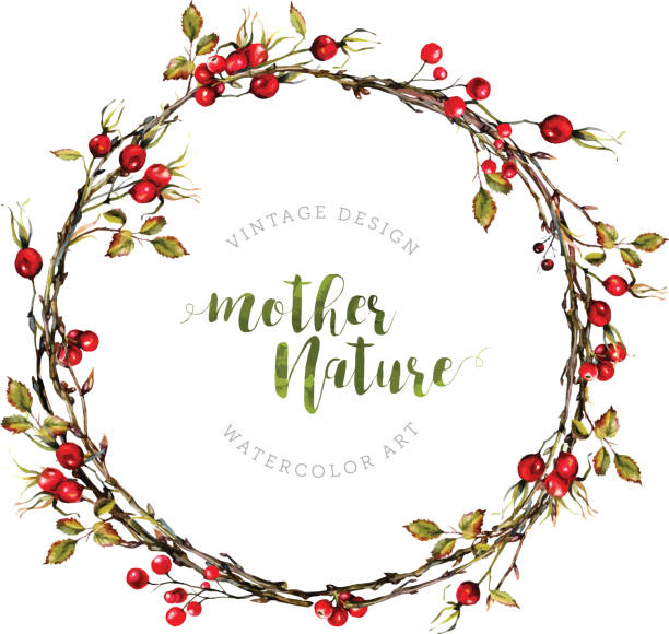 Watercolor Boho wreath made of dry twigs and bare osier branches isolated on white. Natural decoration. Wooden sticks garland. Christmas chaplet made of vine. Pussy-willow round frame. Vintage style.