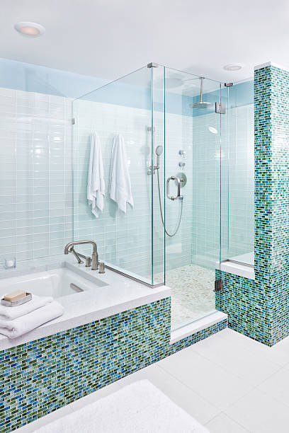 コンテンポラリーなバスルームには、シャワー、バスタブとガラスタイル - bathroom shower glass contemporary ストックフォトと画像