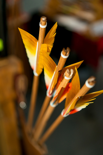 colored plumage close up arrows for archery