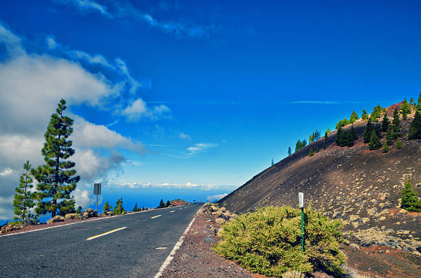 vulkan el teide, nationalpark teneriffa. straße durch lavafelsen. - el teide national park stock-fotos und bilder