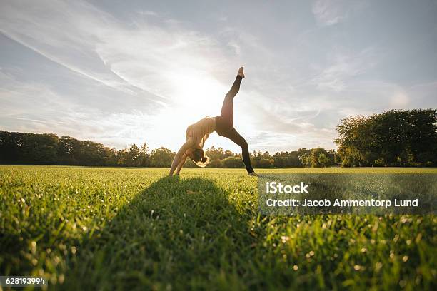 Healthy Young Woman Doing Yoga Stock Photo - Download Image Now - Yoga, Nature, Lawn