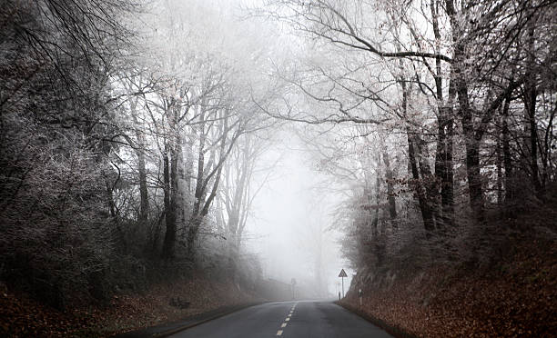 istock Hoar frosted trees, fog and road 628194732