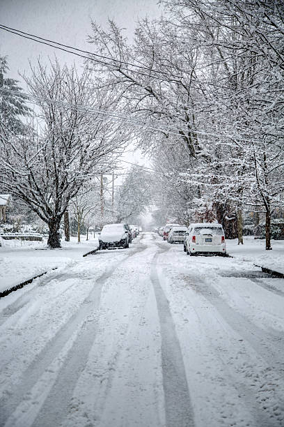 istock snowing in residential street 628207766