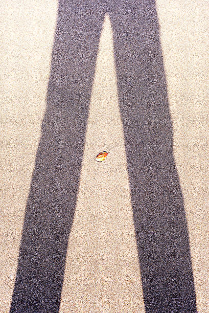 istock Art of the sandy beach 628209662