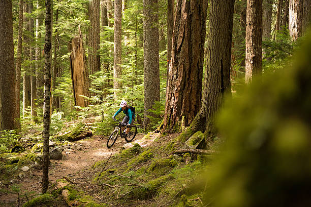 bicicletta in una bella foresta - mountain biking mountain bike cycling bicycle foto e immagini stock