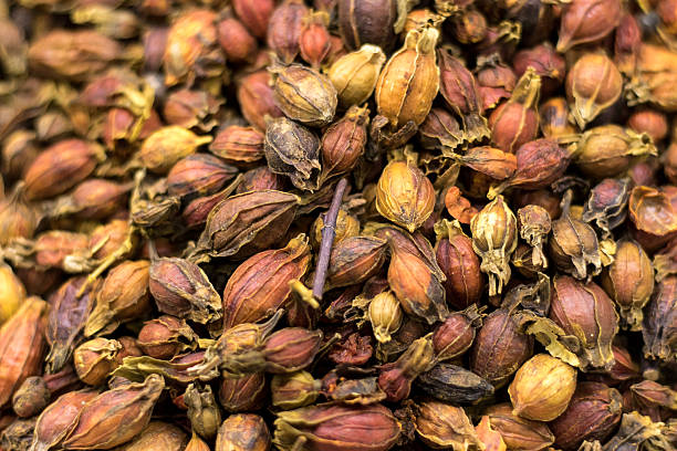 istock Various dried Chinese herbal medicine 628217652