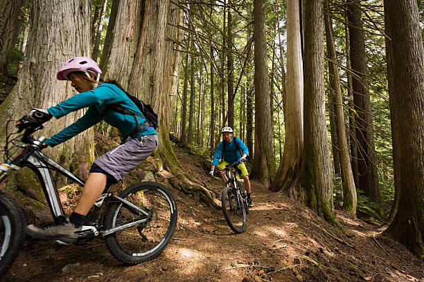 istock Couple biking in an old growth forest 628217864