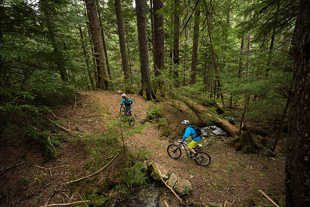 istock Couple biking in an old growth forest 628218056