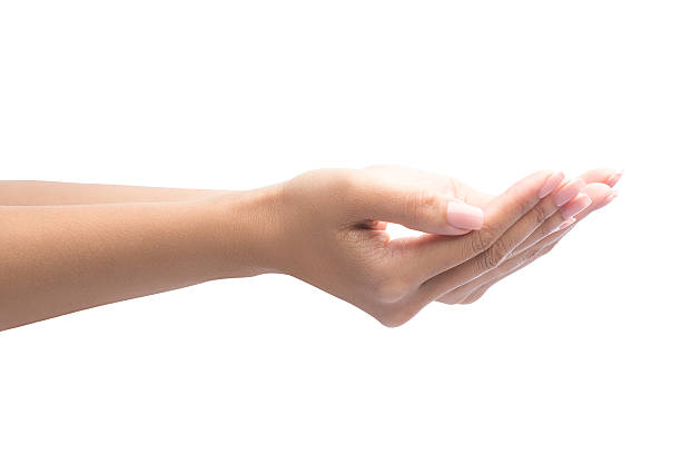 istock Beautiful cupped hands of woman 628220834