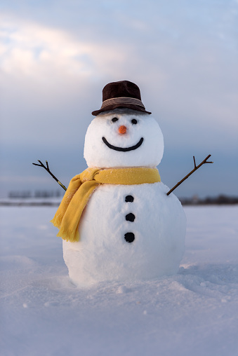 snowman on blue sky background