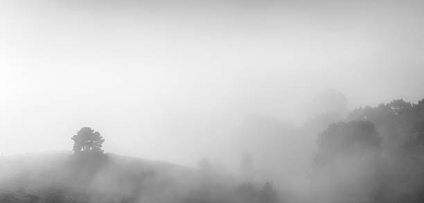istock Valley in a foggy dawn 628233028