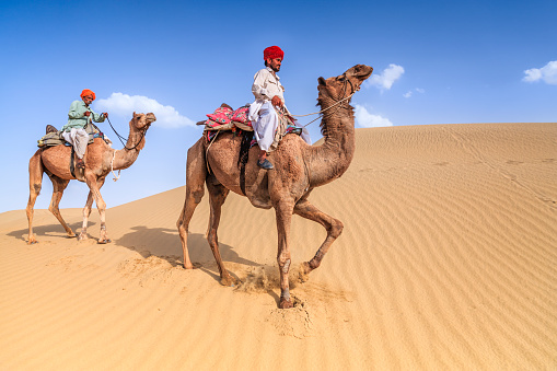 Indian men riding camels on sand dunes, Rajasthan, India