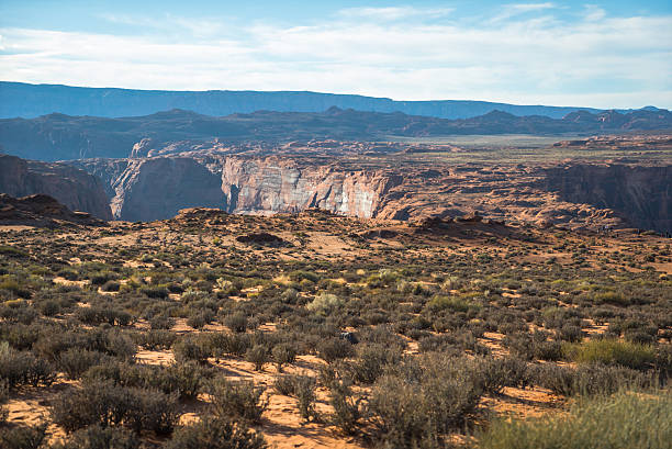 istock Afternoon at Horseshoe Bend, Arizona 628245566