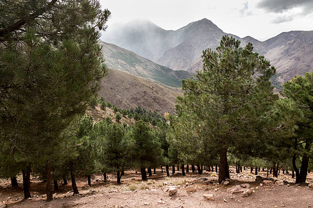 istock Mountain peaks in Atlas in Morocco 628247160