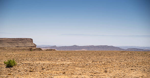 Desert landscape stock photo