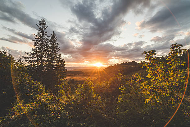 belle forêt et coucher de soleil sur la vallée - mountain region photos et images de collection