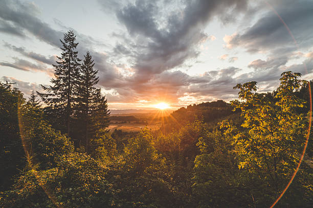 Beautiful Forest and Valley Sunset The sun goes down between clouds and an expansive view of trees in a valley. pacific northwest stock pictures, royalty-free photos & images