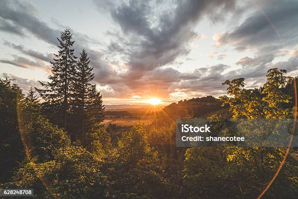 Foto de Bela Floresta E Vale Pôr Do Sol e mais fotos de stock de Floresta - Floresta, Oregon - Estado dos EUA, Pôr-do-sol