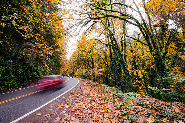 istock Winding road with cars in autumn forest 628249852