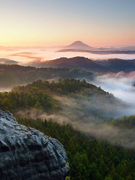 istock Autumn sunrise forest,  fall colorful valley full of dense mist 628262922