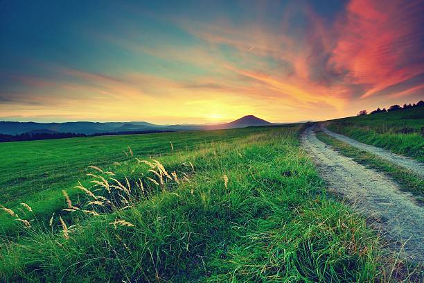 istock Gravel rut road between mradows on sunset background 628263904