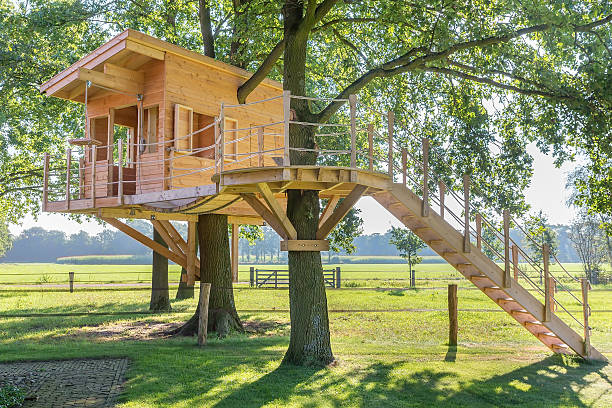 Wooden tree house in oak tree with grass Newly built  wooden tree hut in oak trees with pasture. For children this really a beautiful and challenging house built in a tree. With a footbridge the child can walk from one tree to another. With the stairs they can walk to the hut. playhouse stock pictures, royalty-free photos & images