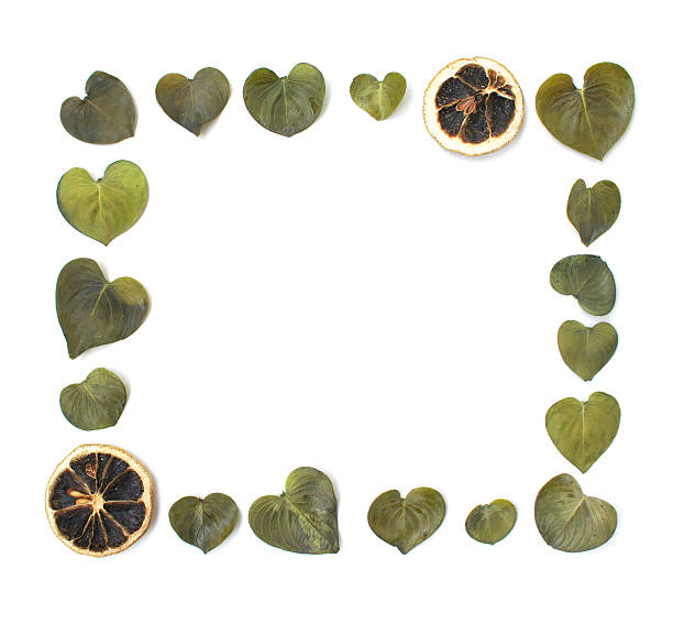 istock Frame from leaves and slices of dried lemon. flat lay 628276008