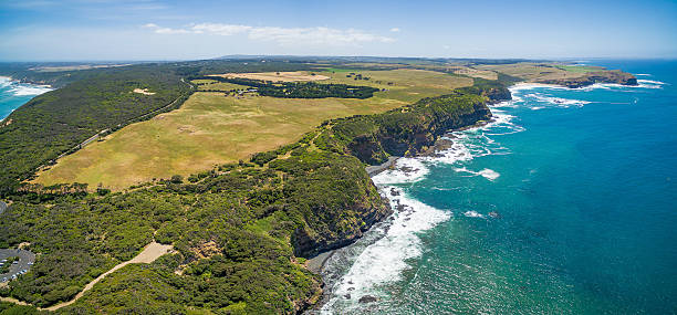 istock Aerial view of Cape Schanck, Australia 628277746