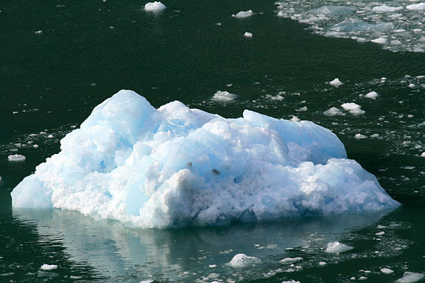 istock Glacier Bay, Alaska, USA 628277804