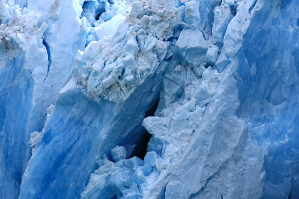 istock Glacier Bay, Alaska, USA 628277814