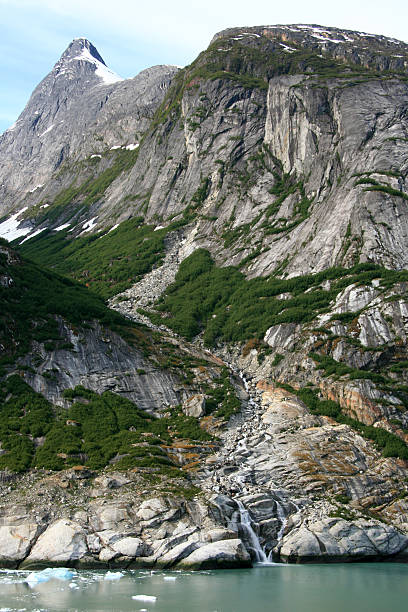 istock Glacier Bay, Alaska, USA 628277824