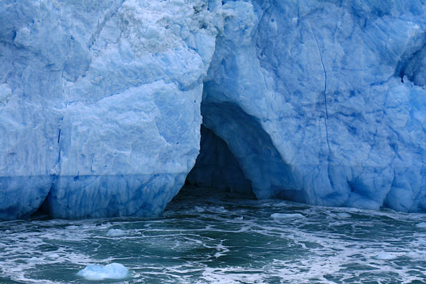 istock Glacier Bay, Alaska, USA 628277830