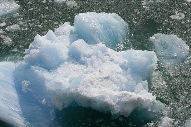 istock Glacier Bay, Alaska, USA 628277918