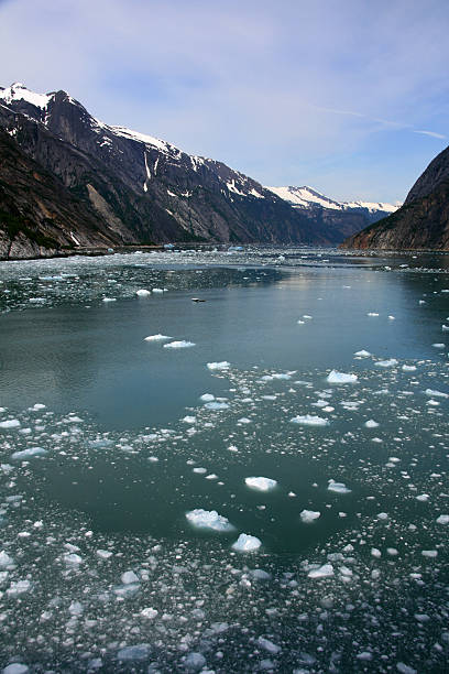 istock Glacier Bay, Alaska, USA 628277950