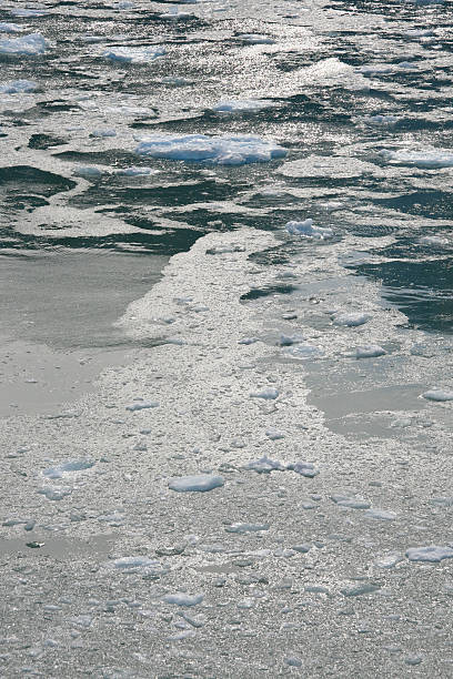 istock Glacier Bay, Alaska, USA 628277976