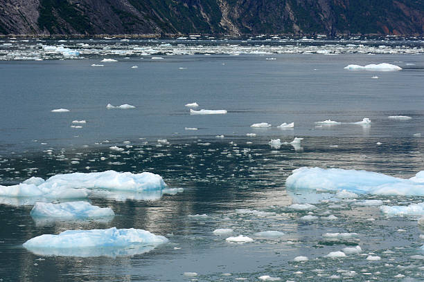 istock Glacier Bay, Alaska, USA 628278172