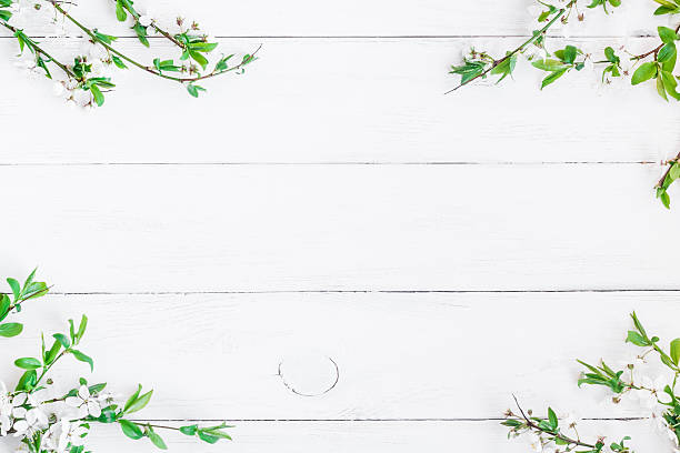 apple flowers on white wooden background. flat lay, top view - may floral pattern spring april imagens e fotografias de stock