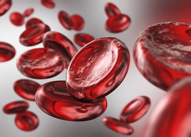 красные кровяные тельца. красивый научный фон. - blood cell blood red blood cell microscope стоковые фото и изображения
