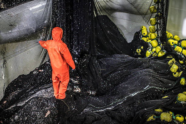 pescatori al lavoro: fissazione delle reti da pesca - industrial fishing foto e immagini stock