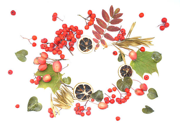 istock Autumn frame with Rowan berries, apples, dried lemons and leaves. 628290158