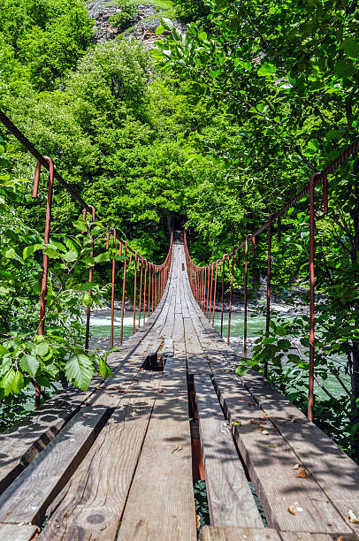 istock Suspension bridge over the stormy mountain river 628295338